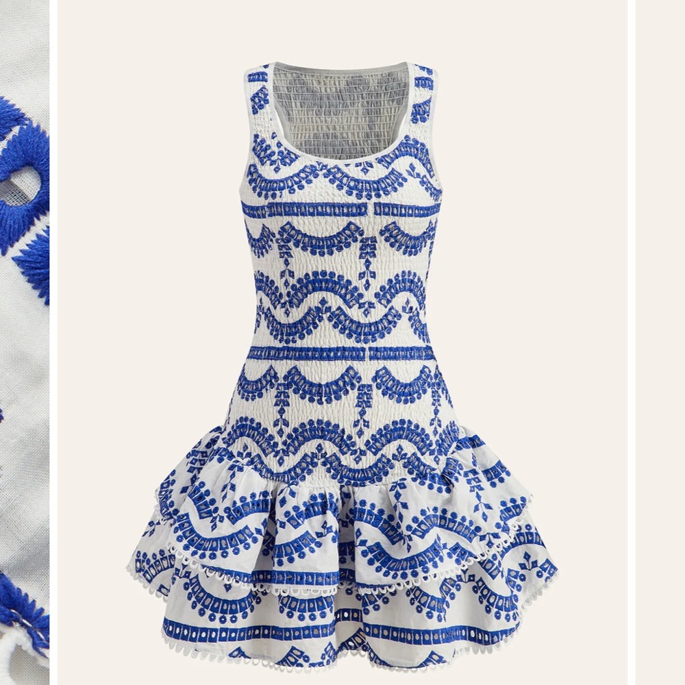 Embroidered Ruffled Sleeveless Dress - Picture 1 of 16